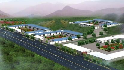 东兴市中药饮片厂项目